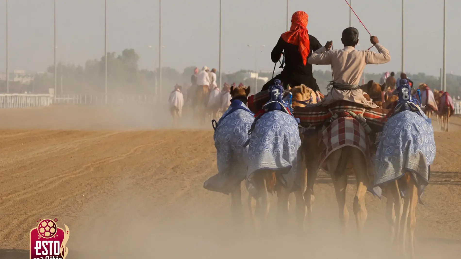 carrera de camellos en Qatar